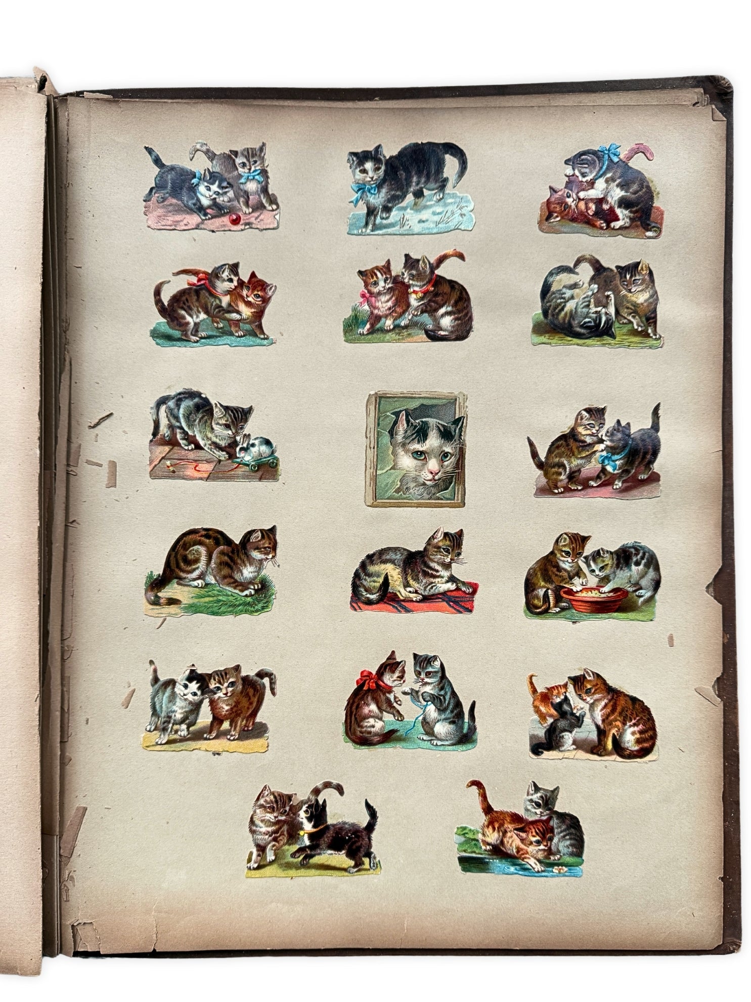 Album mit Oblaten Glanzbilder 1900 Katzen Tiere