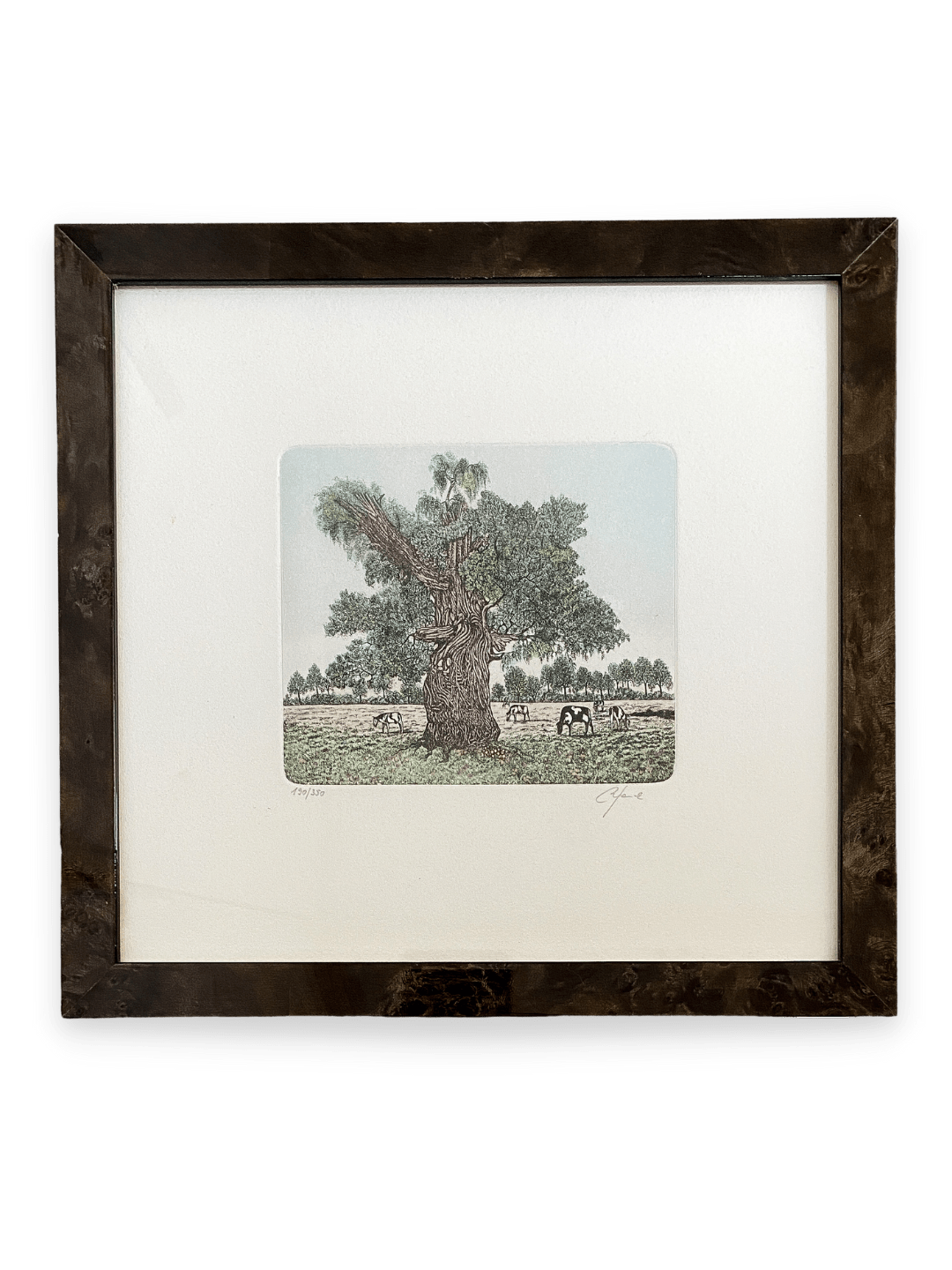 Vintage Radierung Kühe auf Weide gerahmt