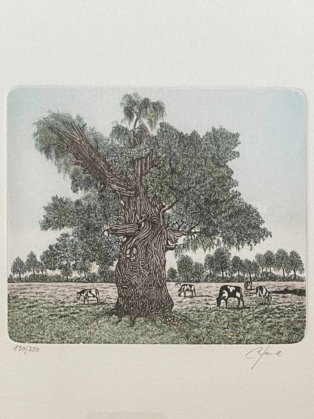 Vintage Radierung "Kühe auf Weide" gerahmt