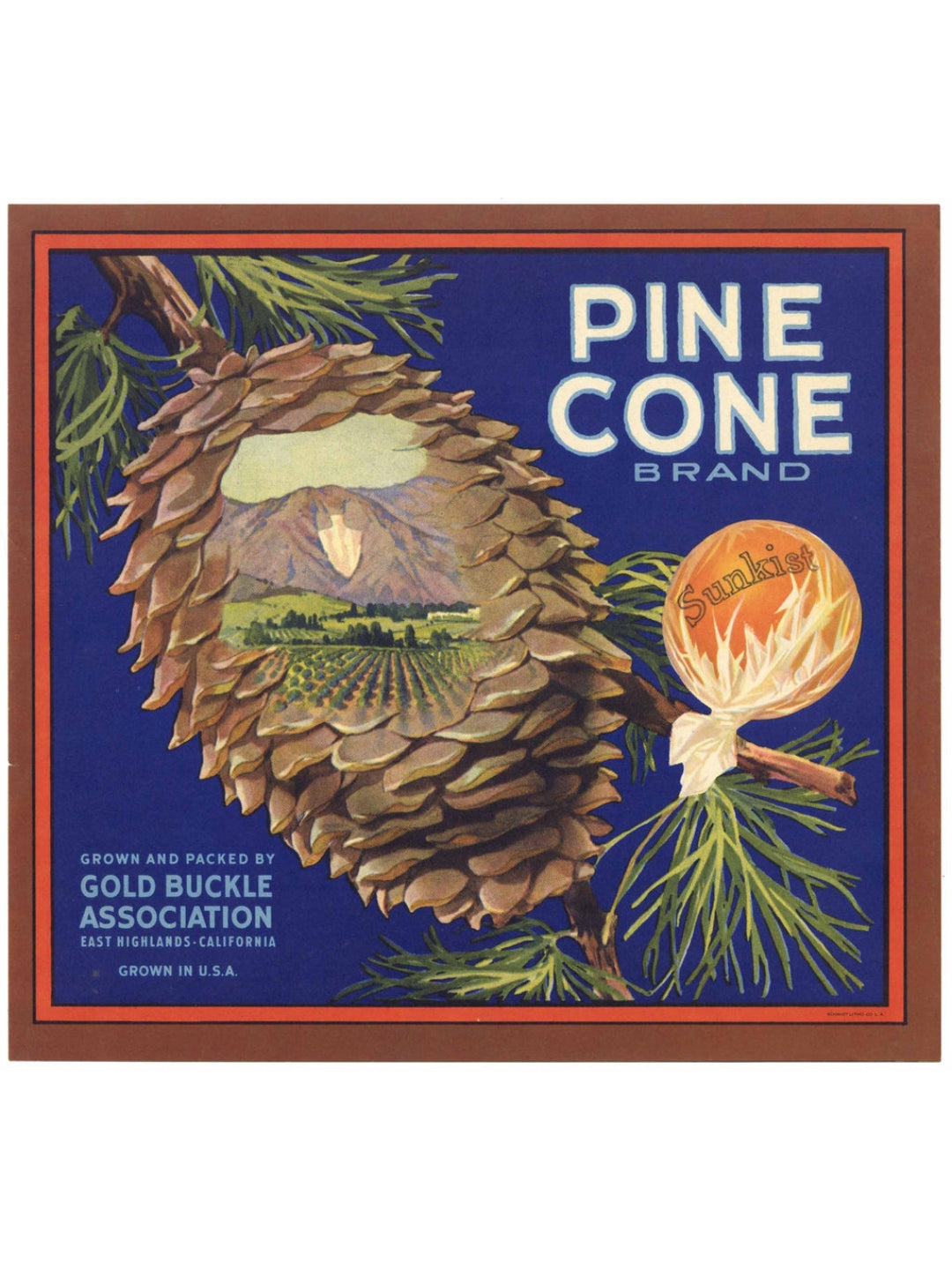 „Pine Cone“ Vintage Orangenkistenetikett Sunkist 1940er Jahre